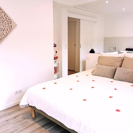 Instant Cosy Apartment แซ็งต์-ราฟาเอล ภายนอก รูปภาพ